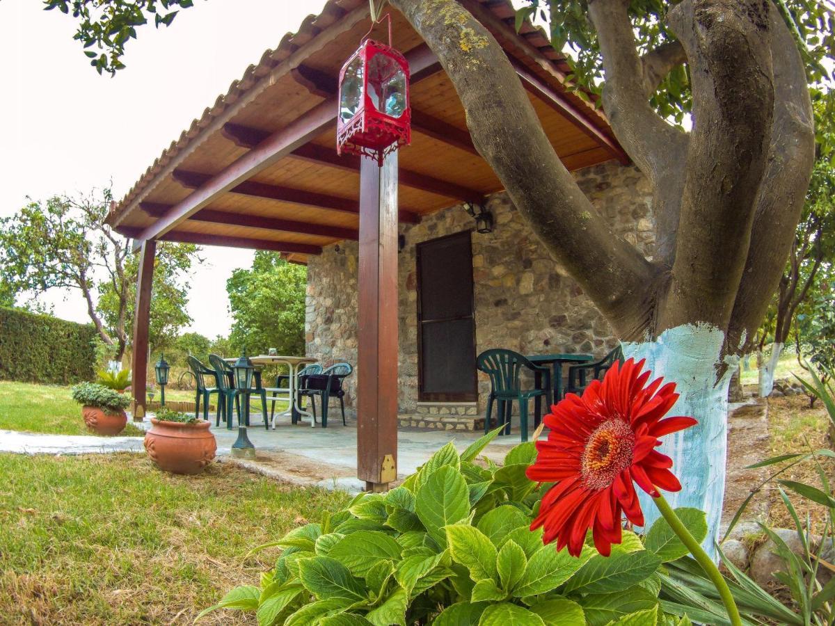 Patras Stonehouse With Large Yard - Πέτρινο Σπίτι Με Αυλή Villa Paralía Exteriör bild